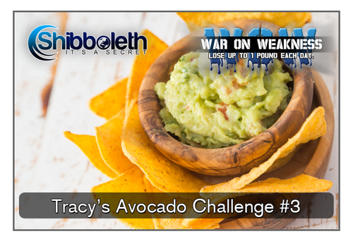 Tracy’s Avocado & Protein-Packed WOW Challenge – Lifetime Access for Only $2.99!