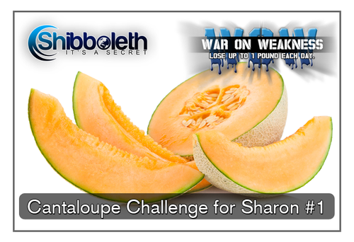 Sharon's Cantaloupe & Hemp Hearts WOW Challenge – Lifetime Access for Only $2.99!