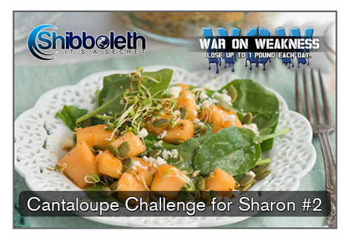Sharon's Cantaloupe & Fish WOW Challenge – Join for Just $2.99!