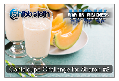 Sharon's Cantaloupe WOW Challenge – Lifetime Access for Only $2.99!