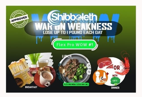 Flex Pro WOW #1 – Lifetime Access for Only $2.99!