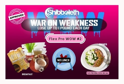Flex Pro WOW #2 – Lifetime Access for Only $2.99!