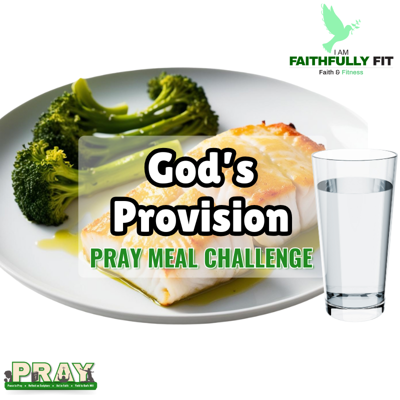 God’s Provision PRAY Challenge – Lifetime Access for Only $2.99!