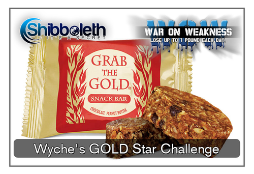 Wyche's GOLD Star WOW Challenge – Just $2.99 for Lifetime Access!