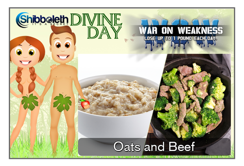 Oatmeal #5 - Oats and Beef WOW Challenge – Only $2.99!