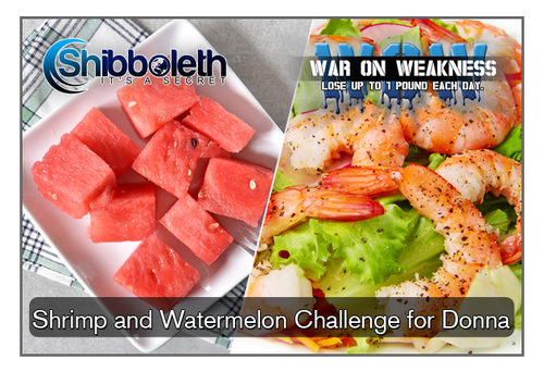 Donna’s Shrimp & Watermelon WOW Challenge – Lifetime Access for Only $2.99!