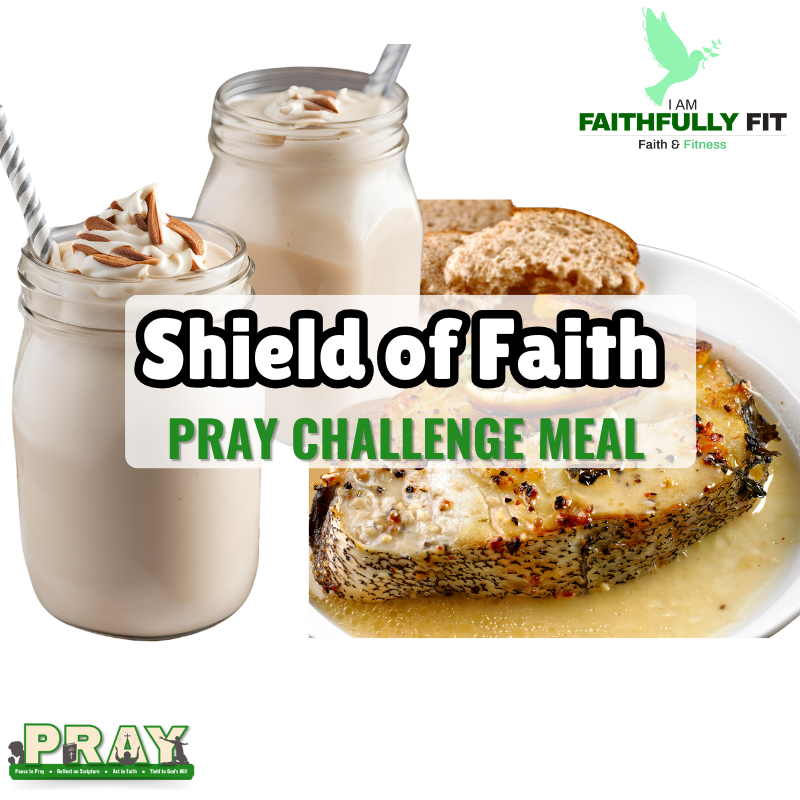 Shield of Faith PRAY Challenge – Now Available for $2.99!