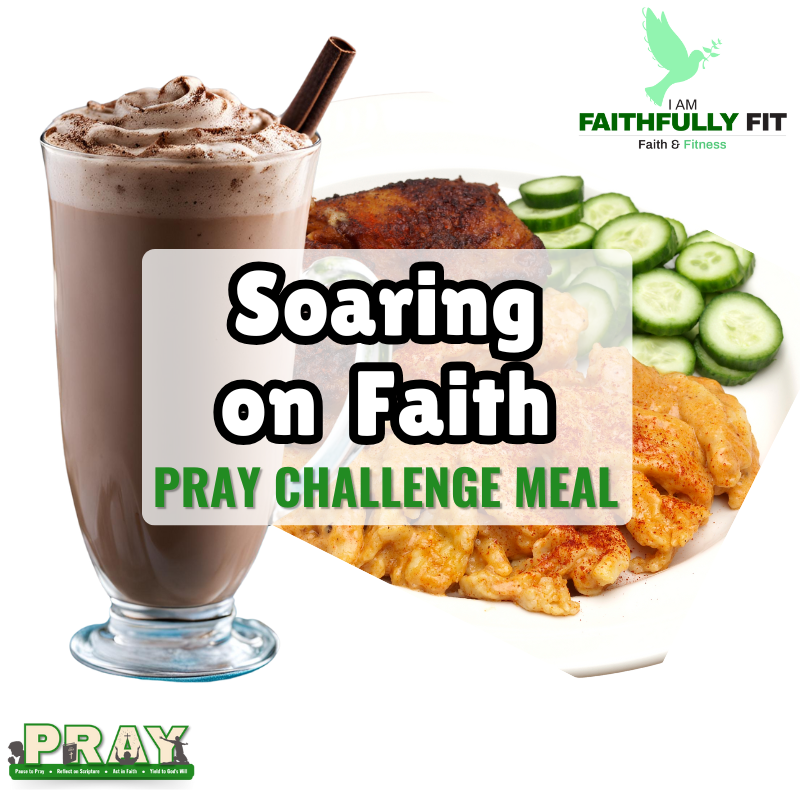Soaring on Faith PRAY Challenge – Now Available for $2.99!