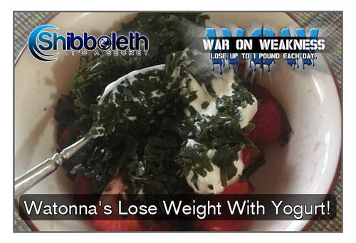 Watonna’s Lose Weight With Yogurt! WOW Challenge – Simple, Delicious, & Just $2.99!