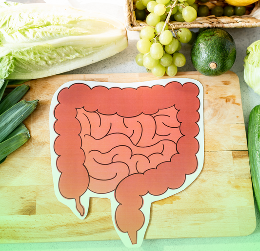 The Crucial Role of Gut Health in Overall Wellness