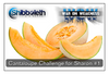 Sharon's Cantaloupe & Hemp Hearts WOW Challenge – Lifetime Access for Only $2.99!